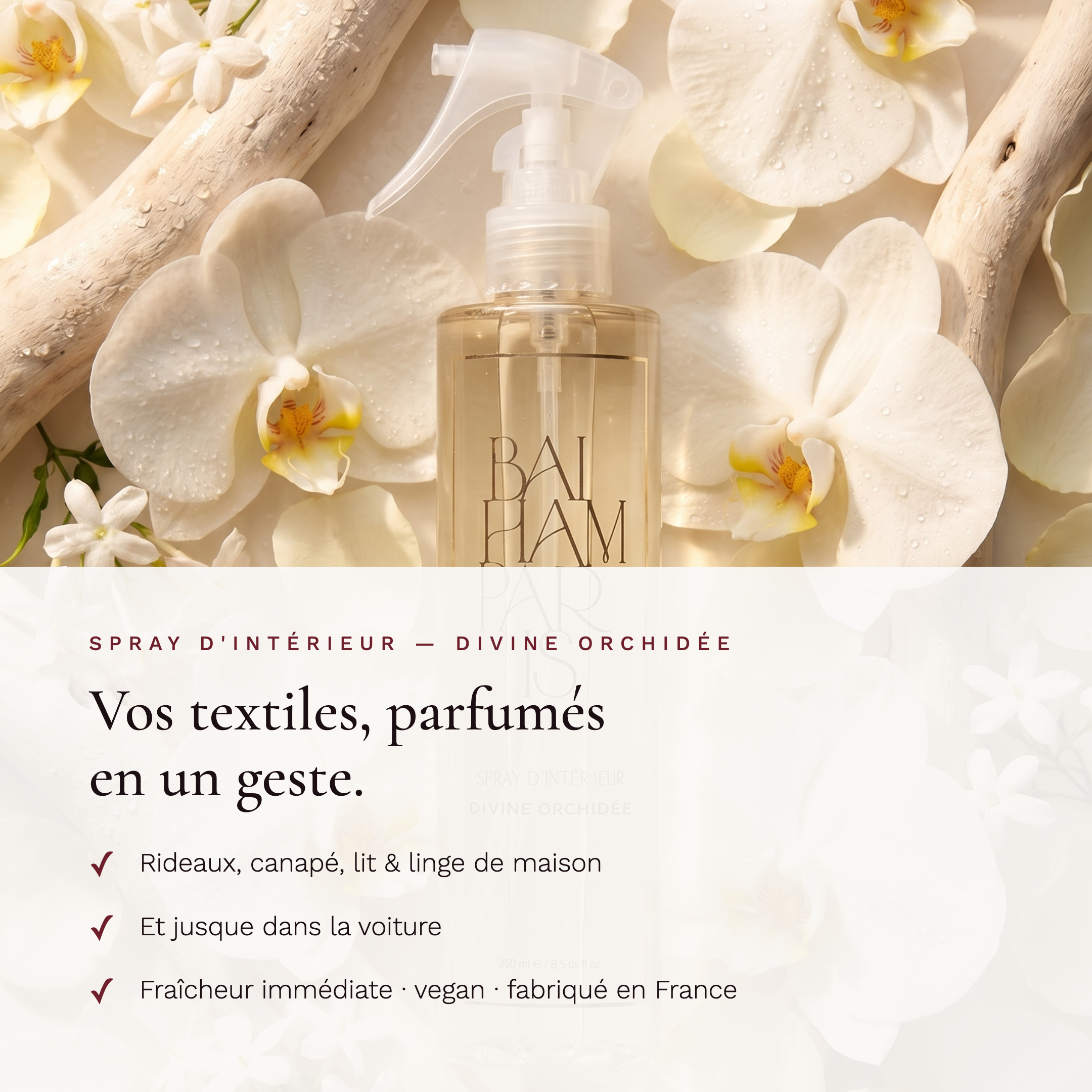 Divine orchidée