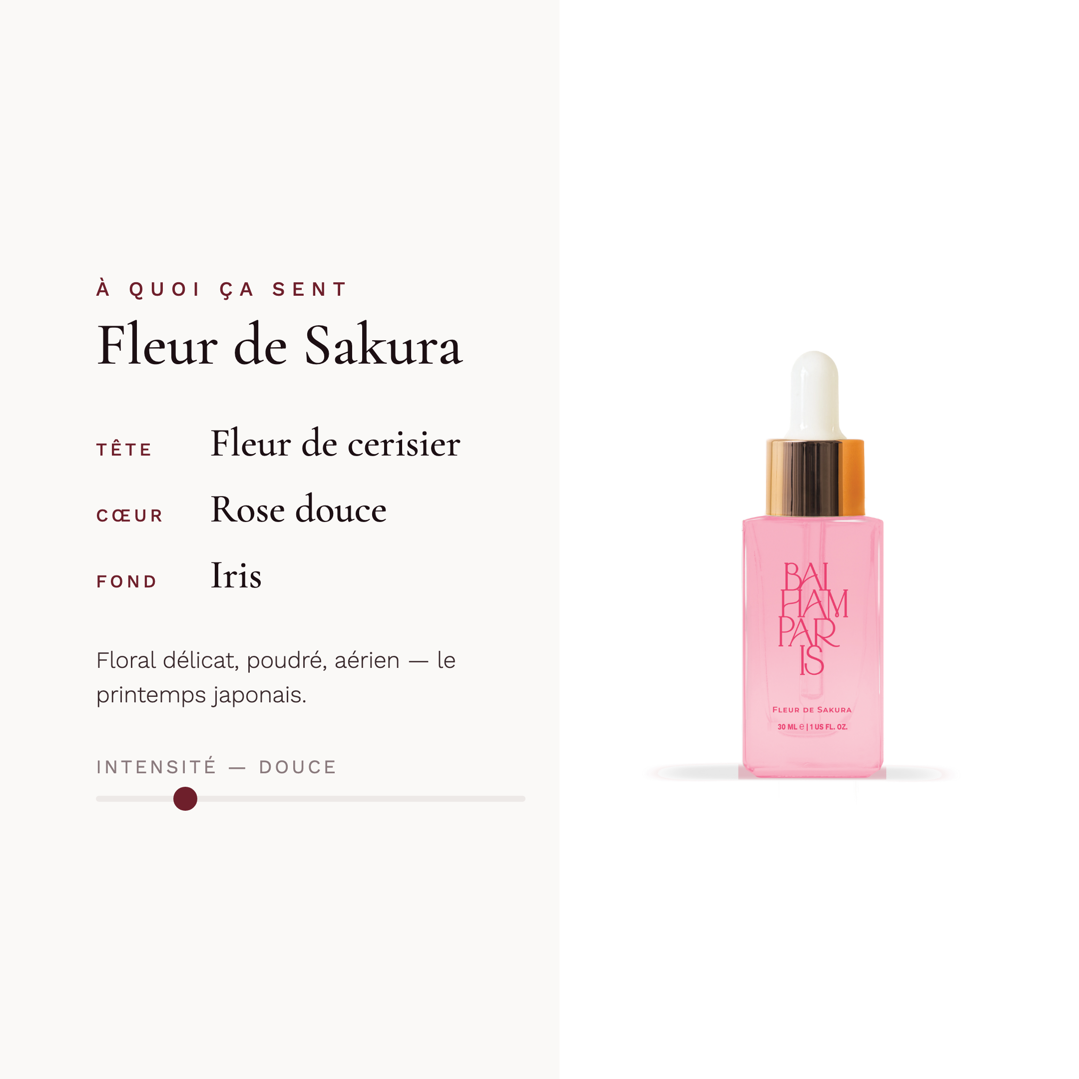 Fleur de sakura