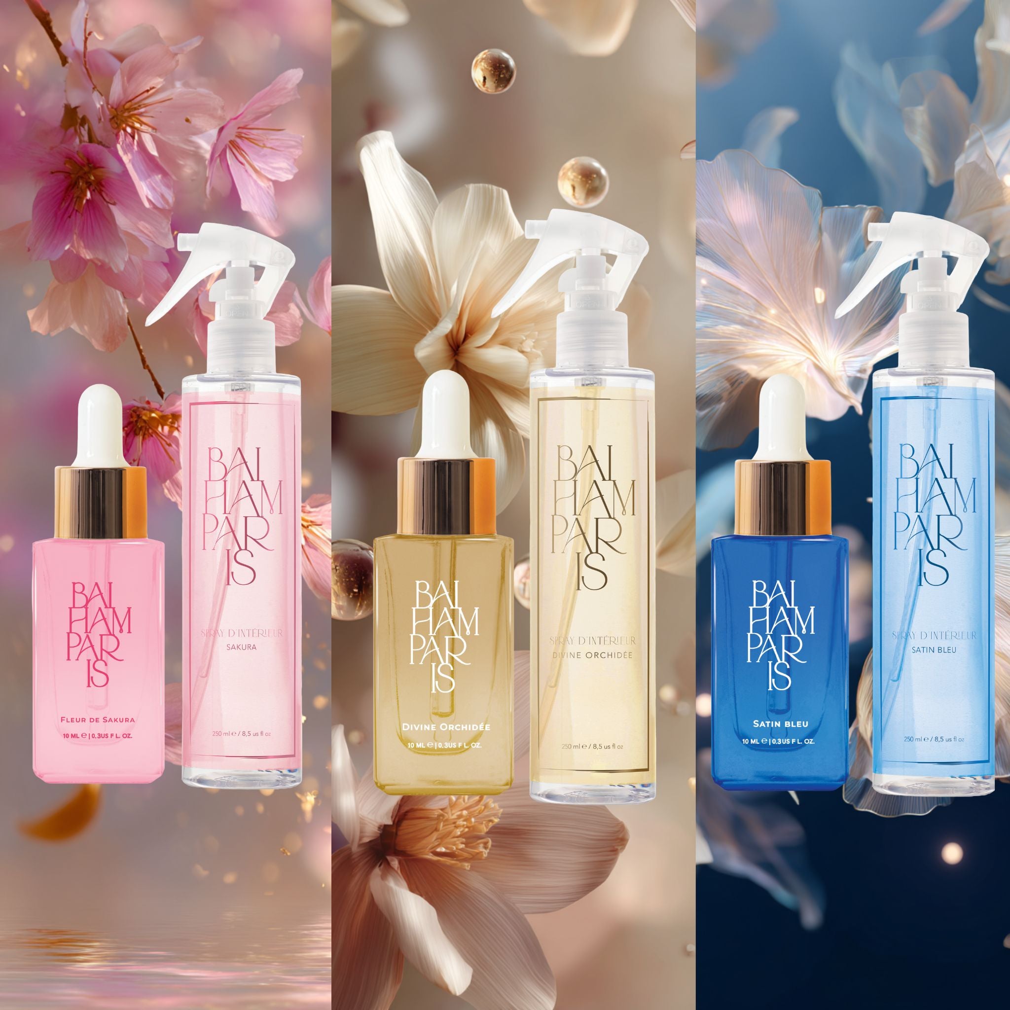 Maxi Coffret Nouveautés