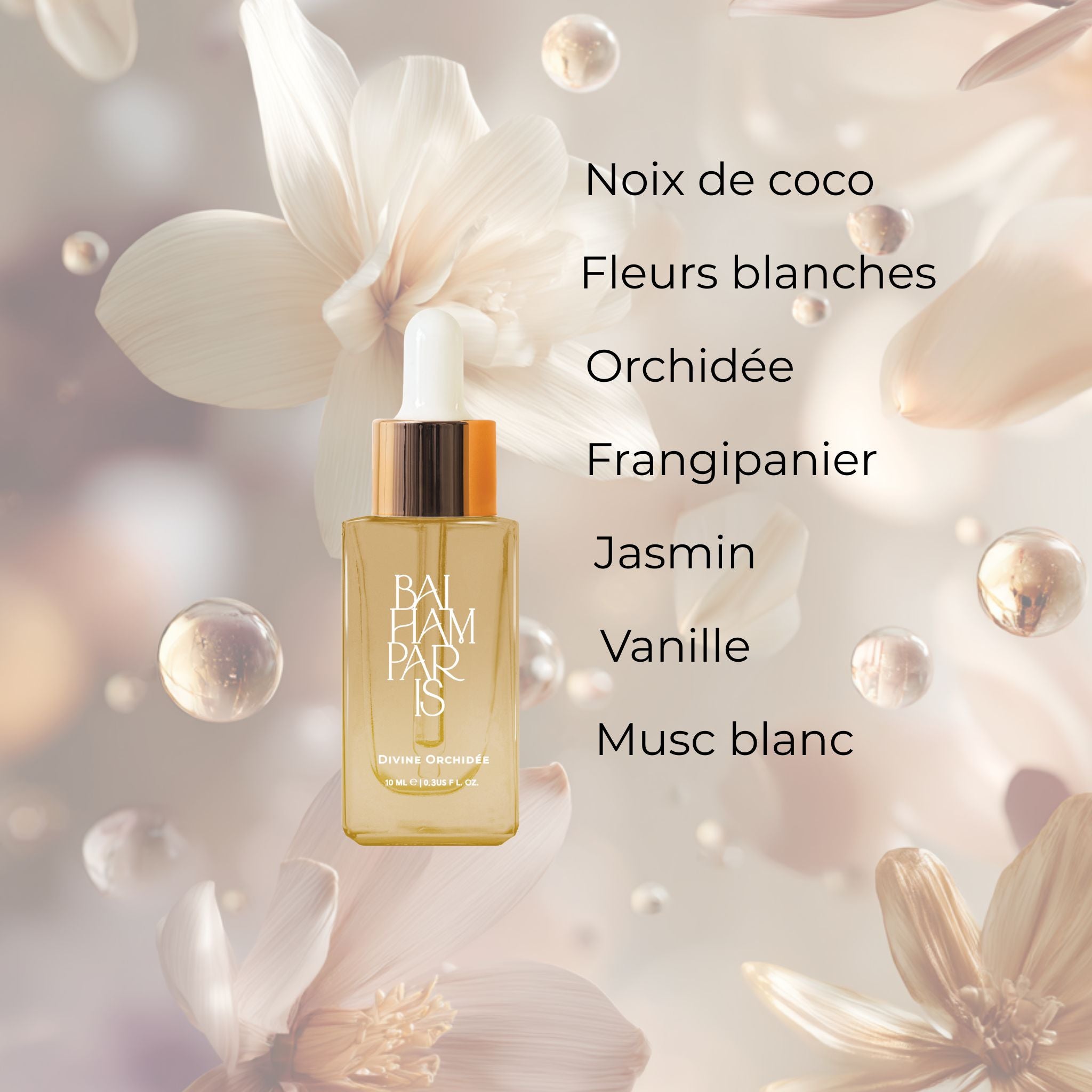 Divine orchidée