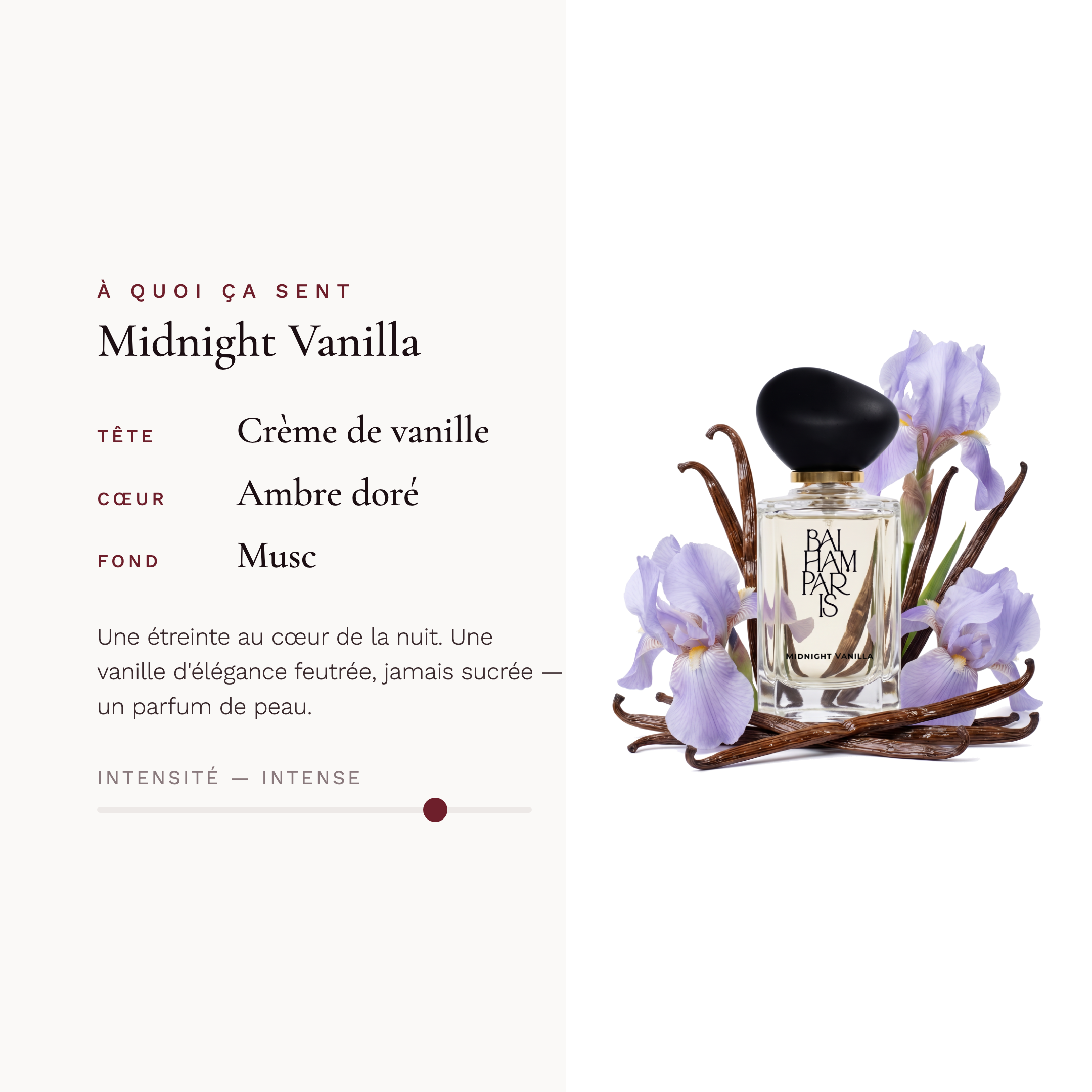 Midnight Vanilla