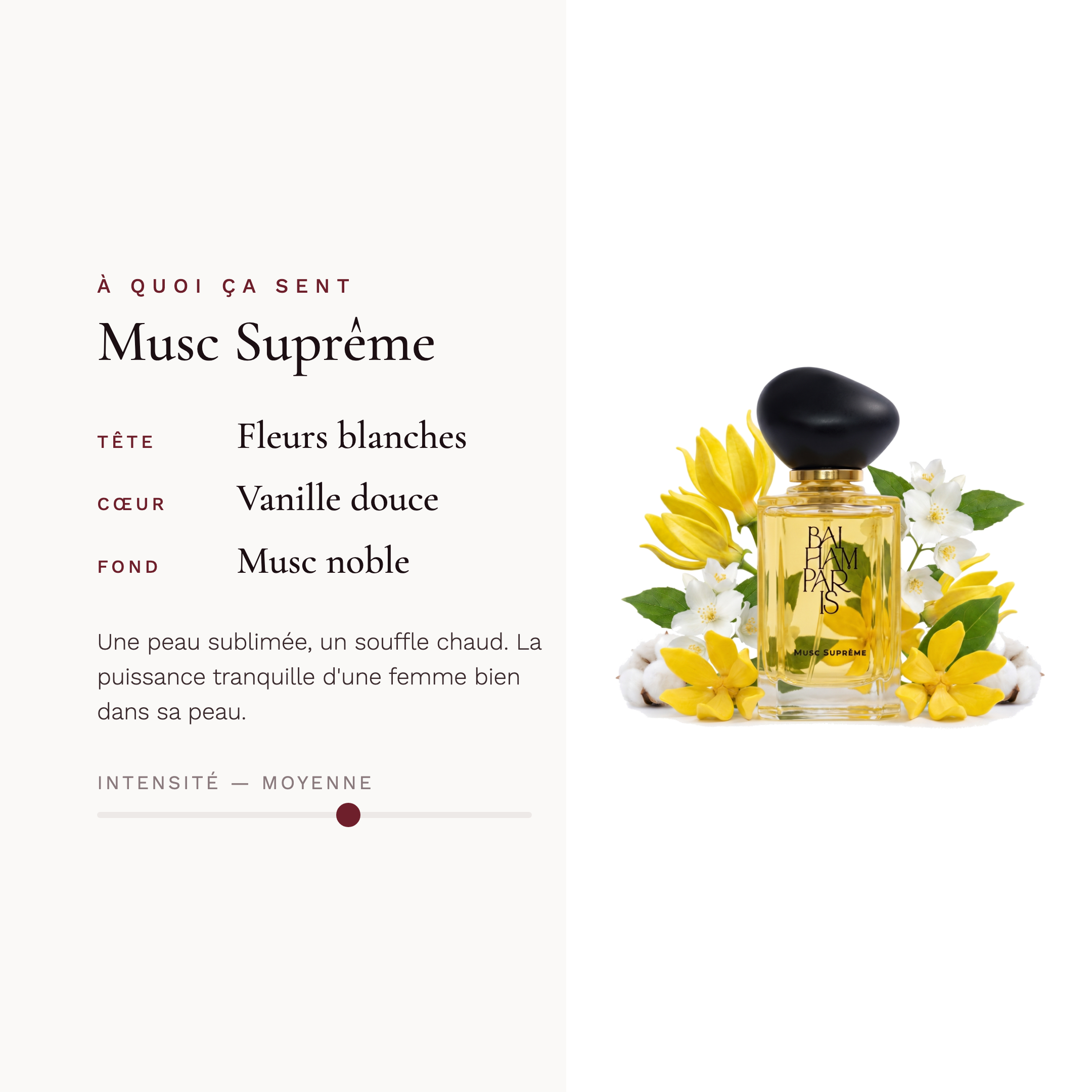 Musc suprême