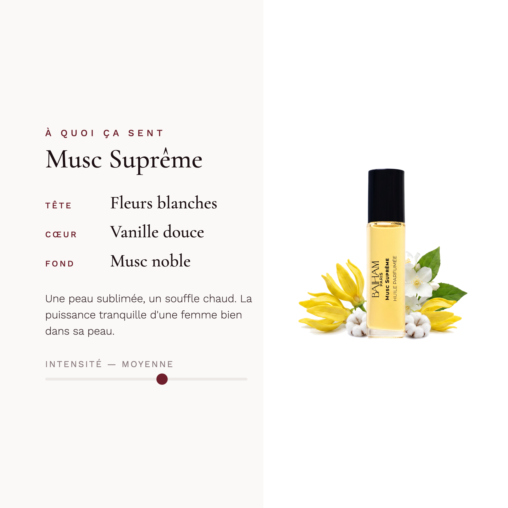Musc suprême