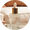 Image to render