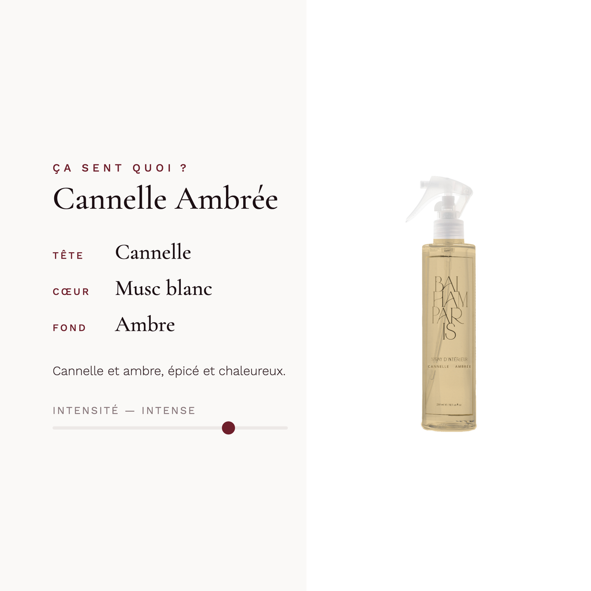 Cannelle ambrée