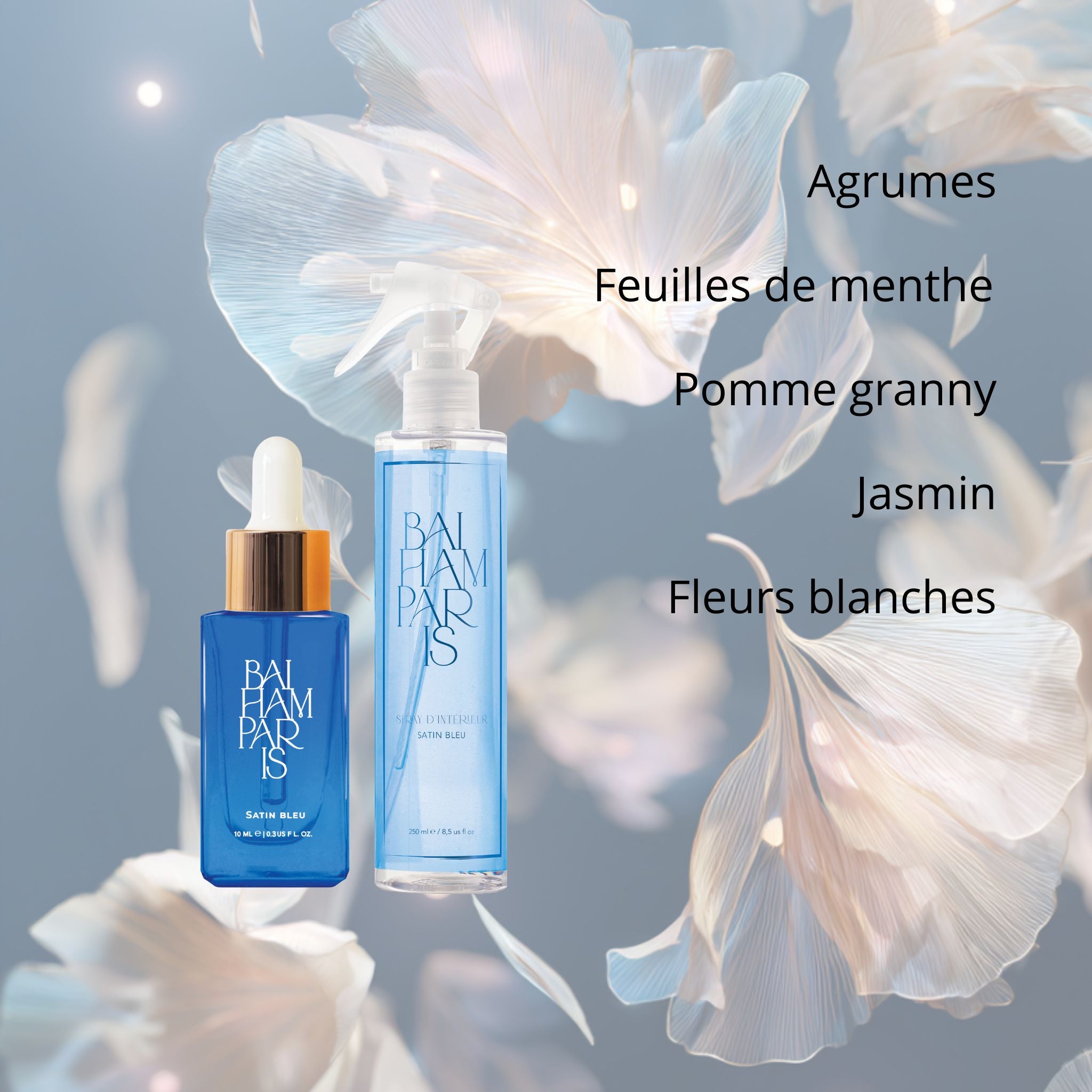 Maxi Coffret Nouveautés