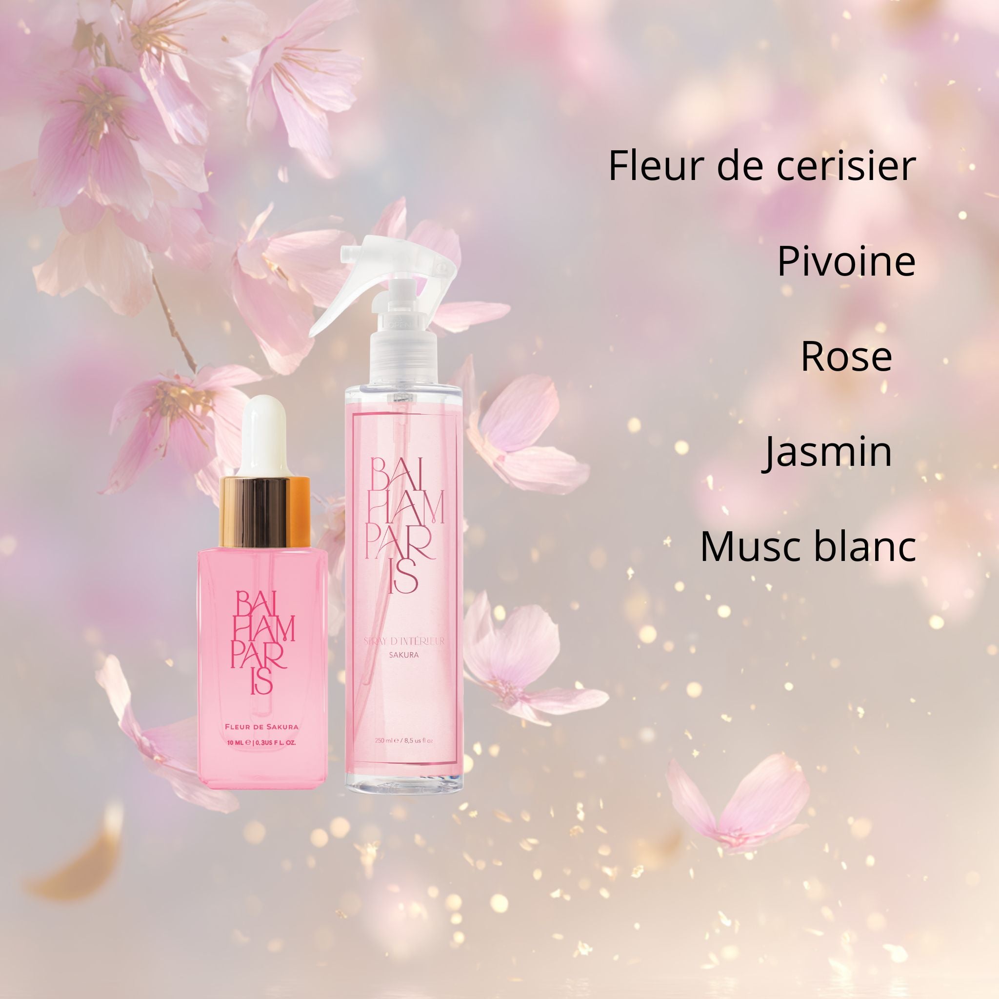 Maxi Coffret Nouveautés