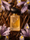 Midnight Vanilla X Inspi by Loan