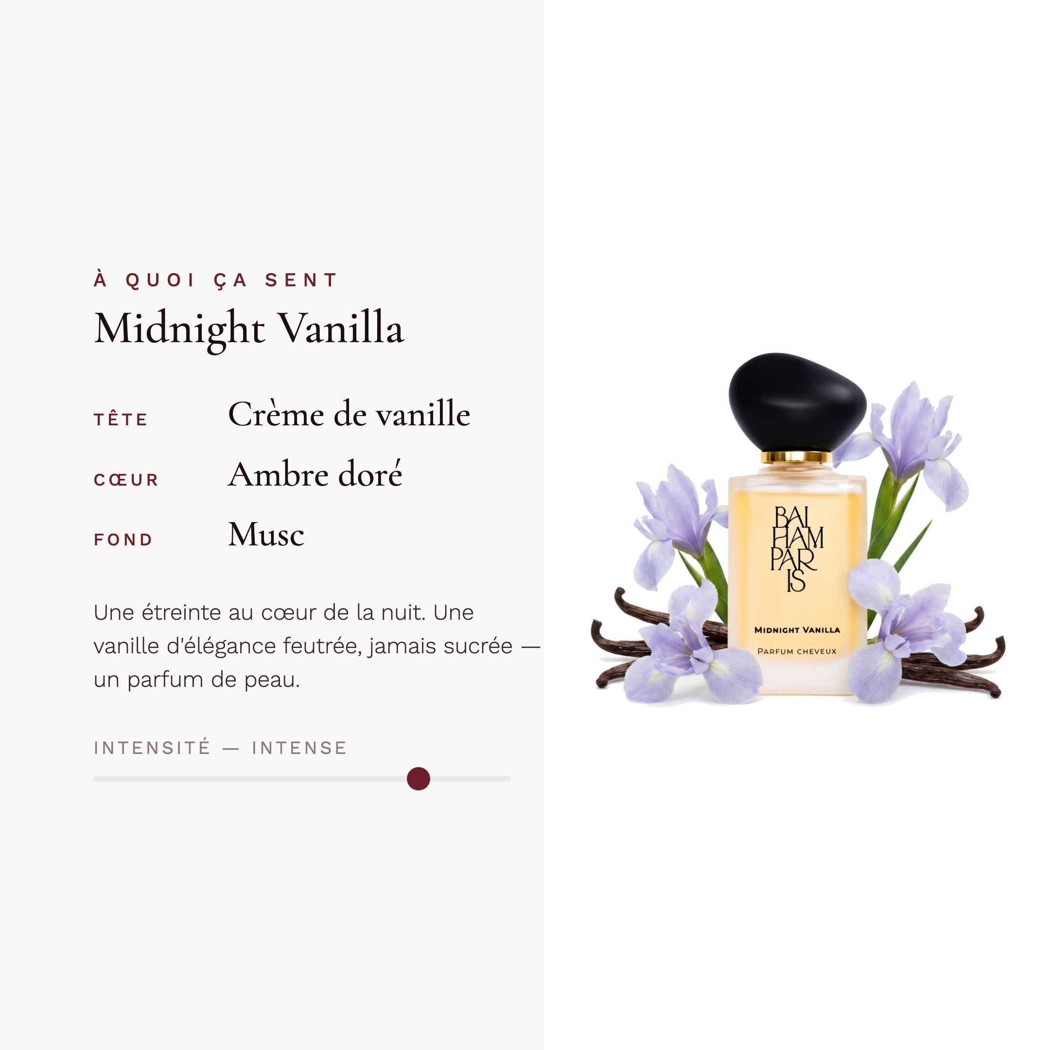 Midnight Vanilla