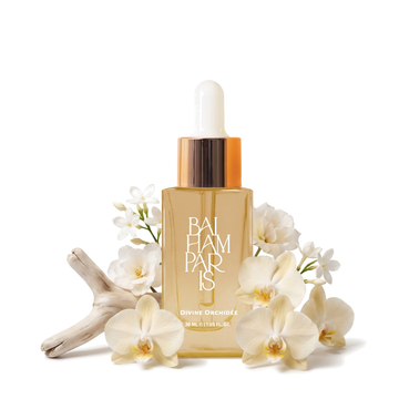 Divine orchidée