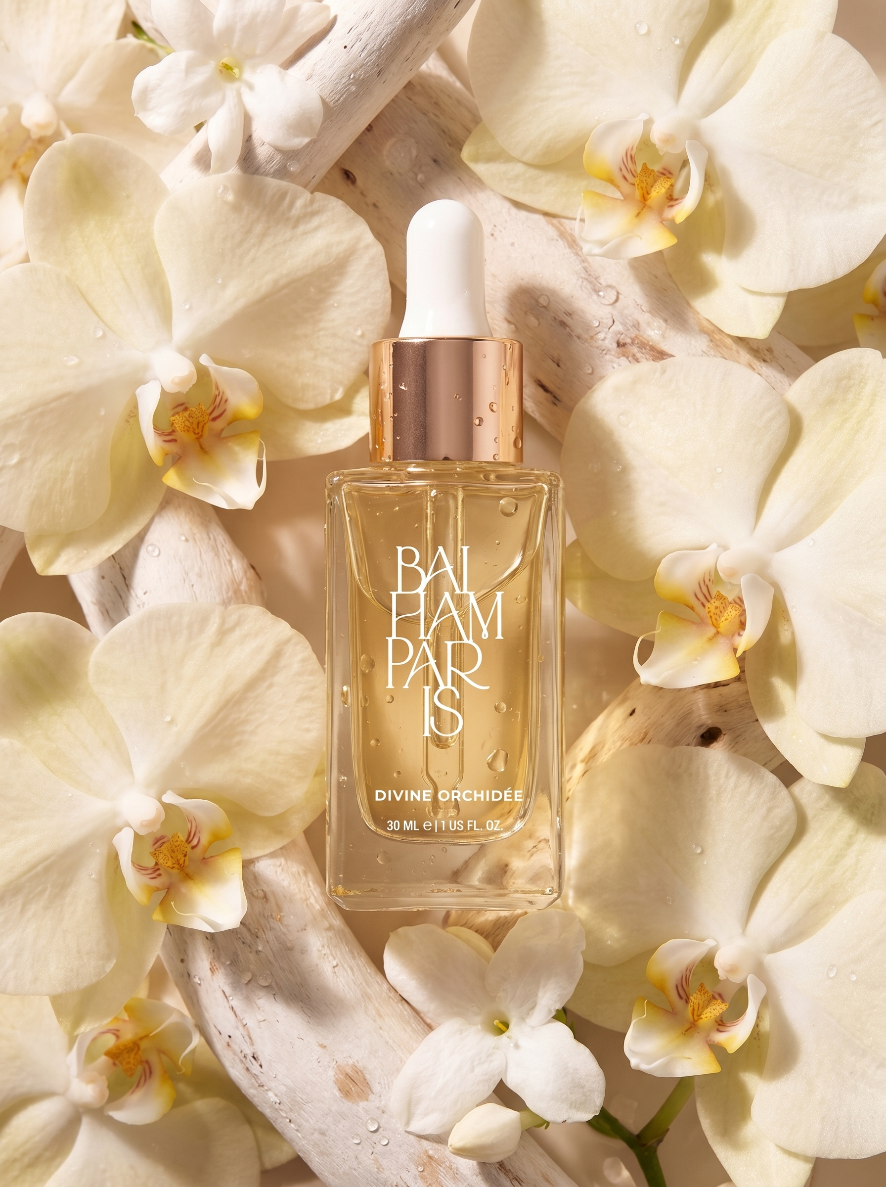 Divine orchidée