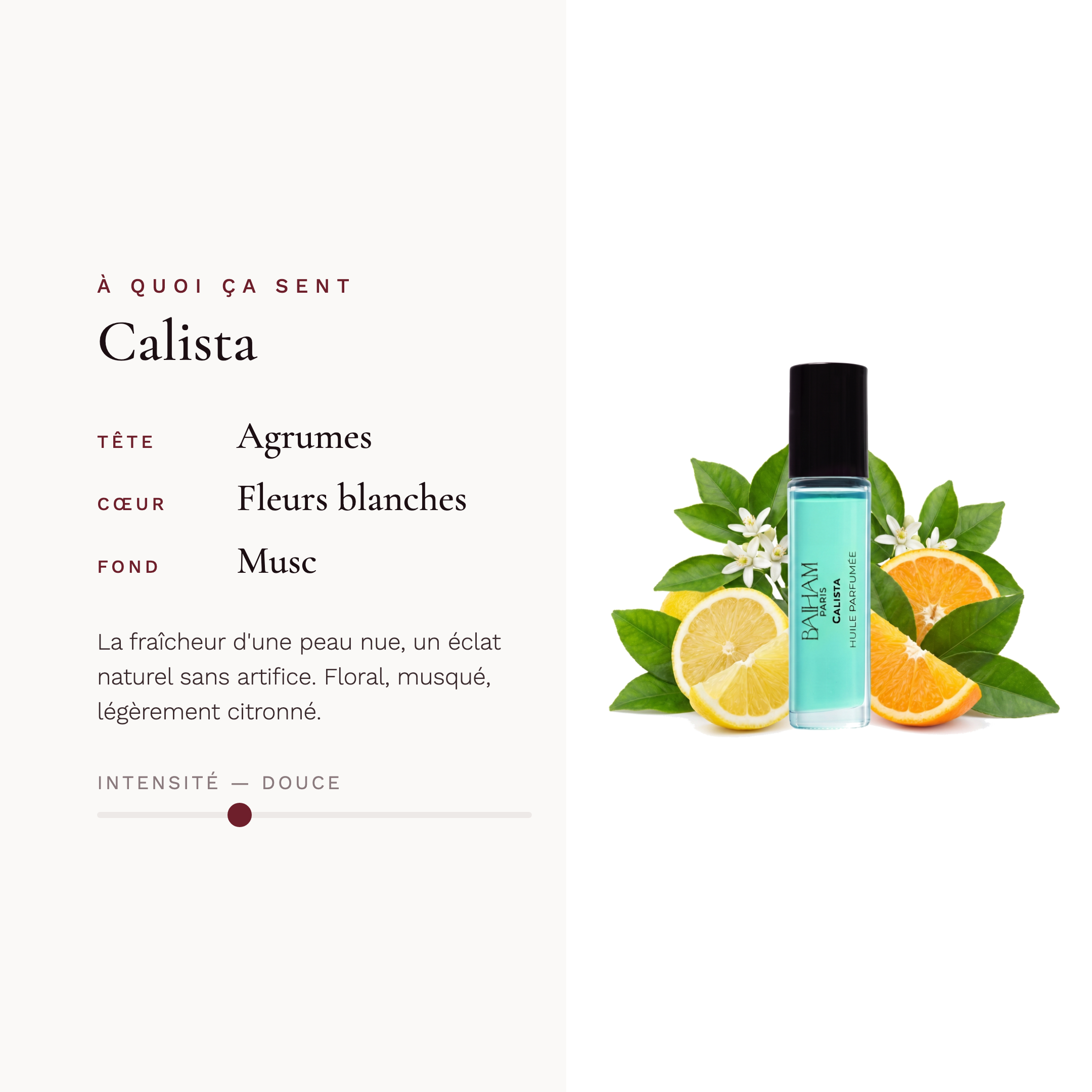 Calista