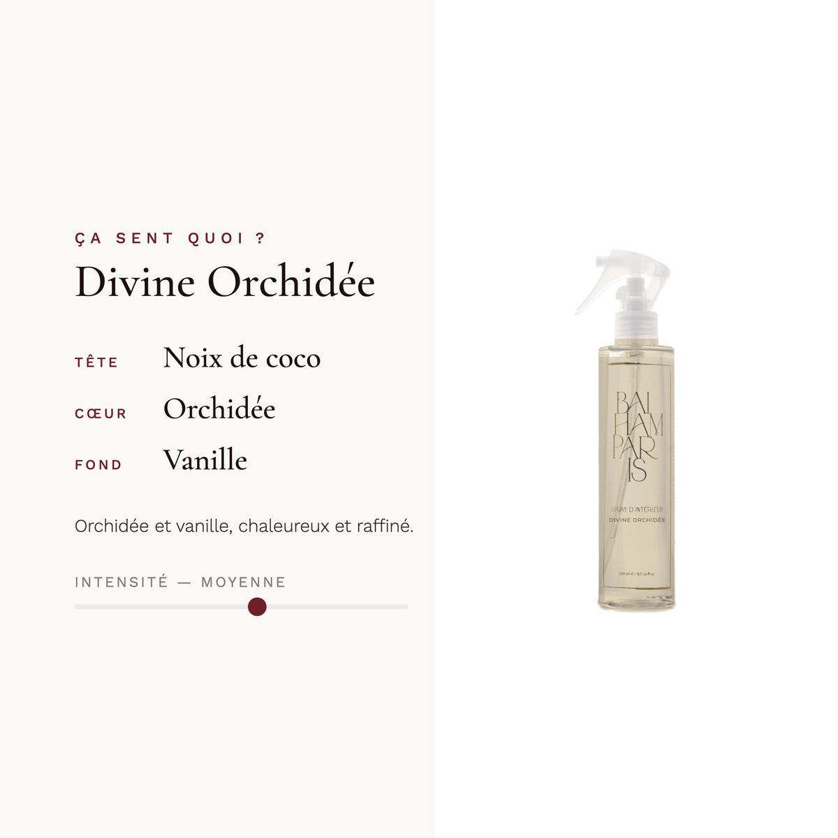 Divine orchid