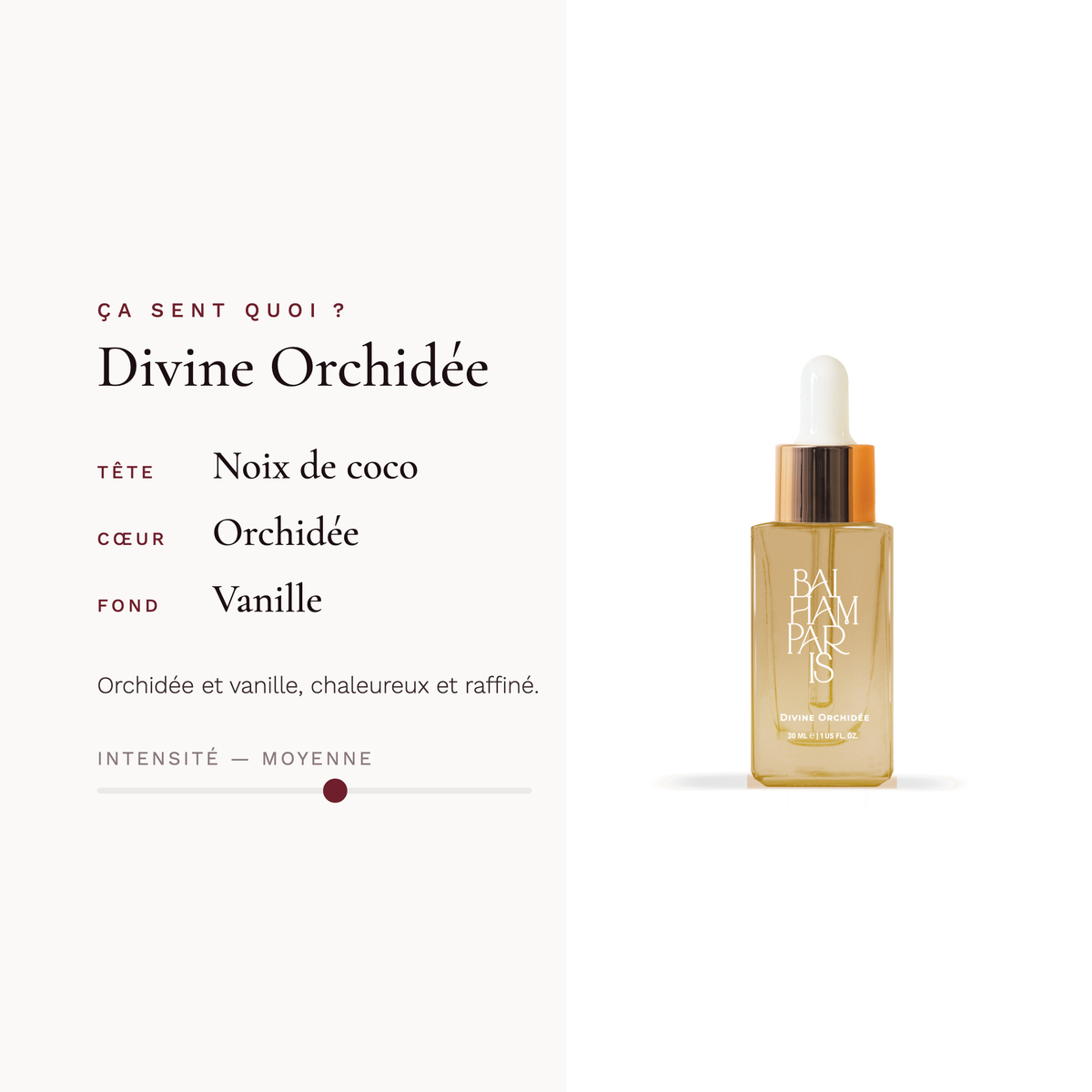 Goddelijke orchidee