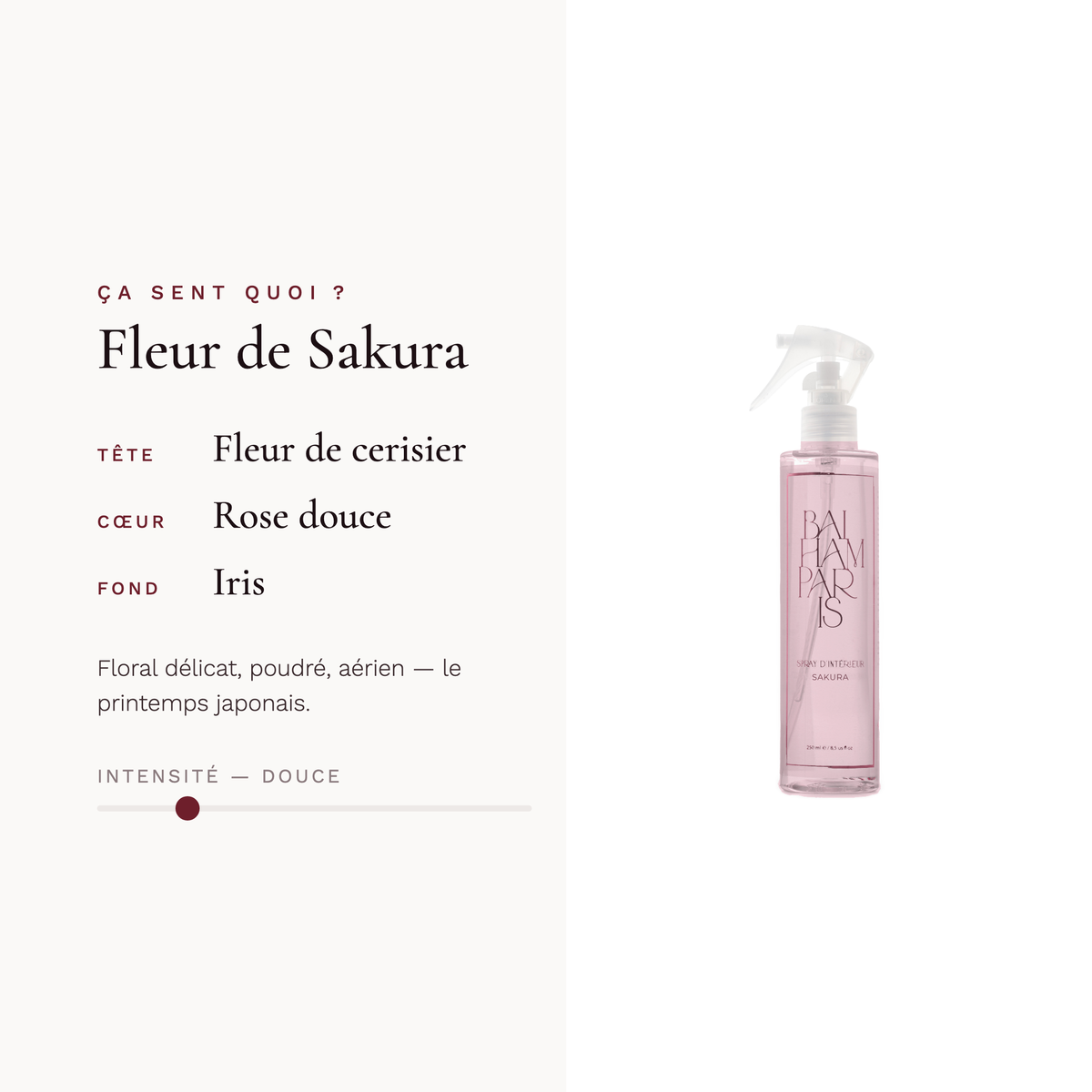 Fleur de sakura