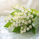 Muguet