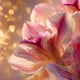 Orchidée