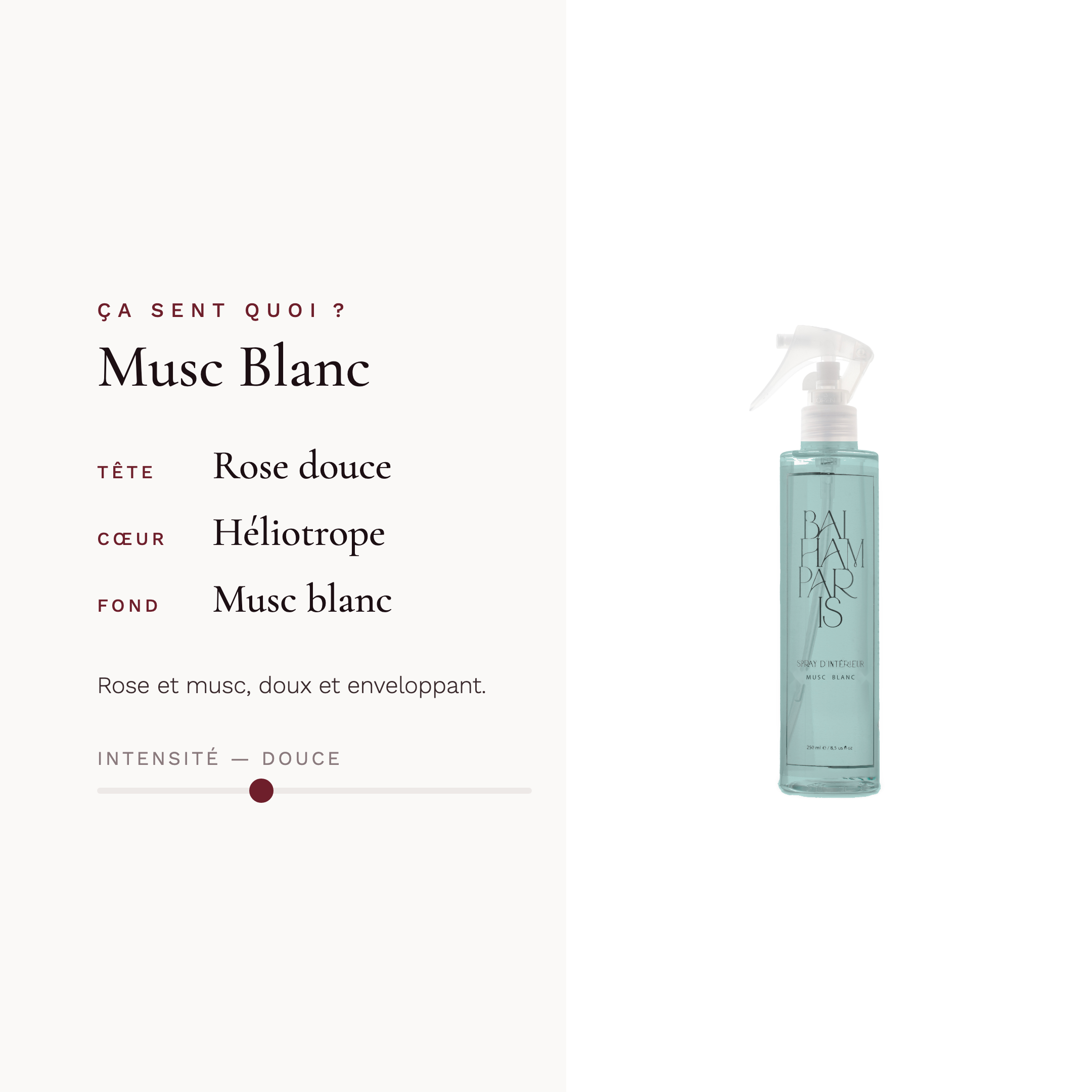 Musc blanc