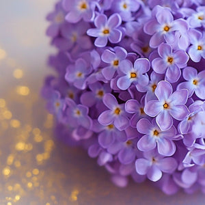 Violette